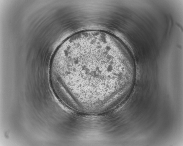 X0000102281237200808151920