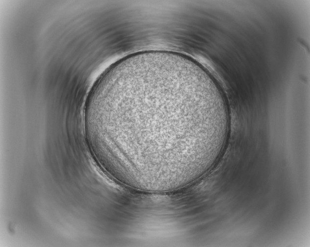 X0000102281238200808151920