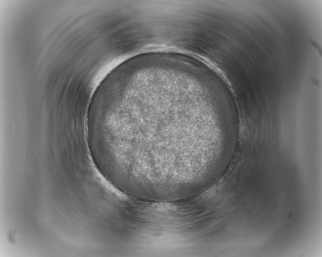 X0000102281239200808151920