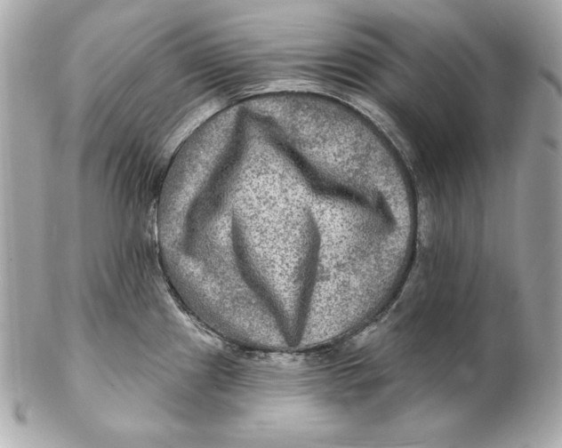 X0000102281241200808151920