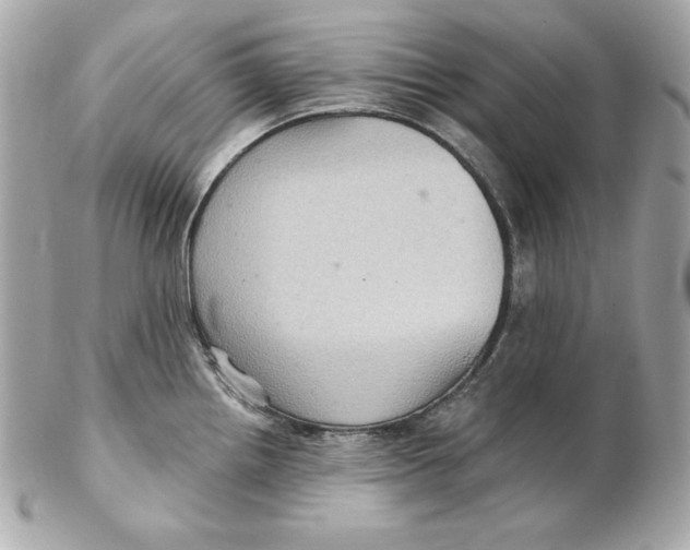 X0000102281242200808151920