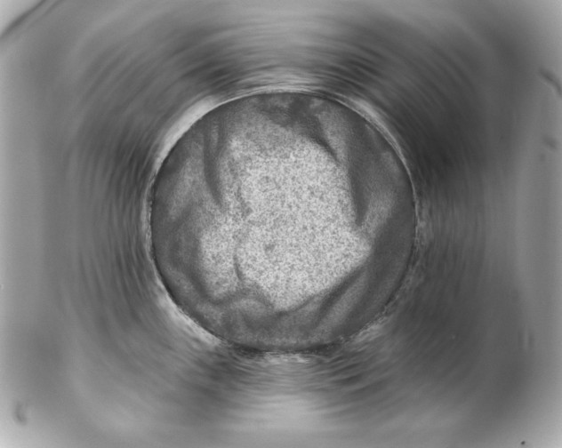 X0000102281243200808151920