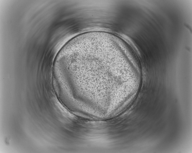 X0000102281244200808151920