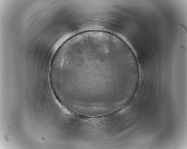 X0000102281245200808151920