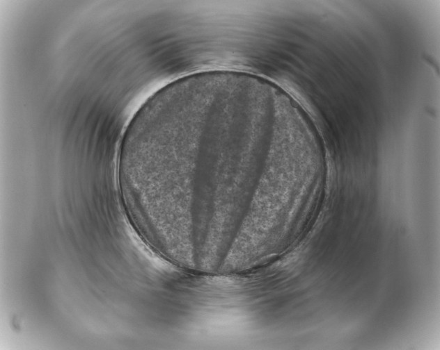 X0000102281246200808151920