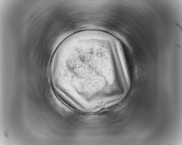 X0000102281247200808151920