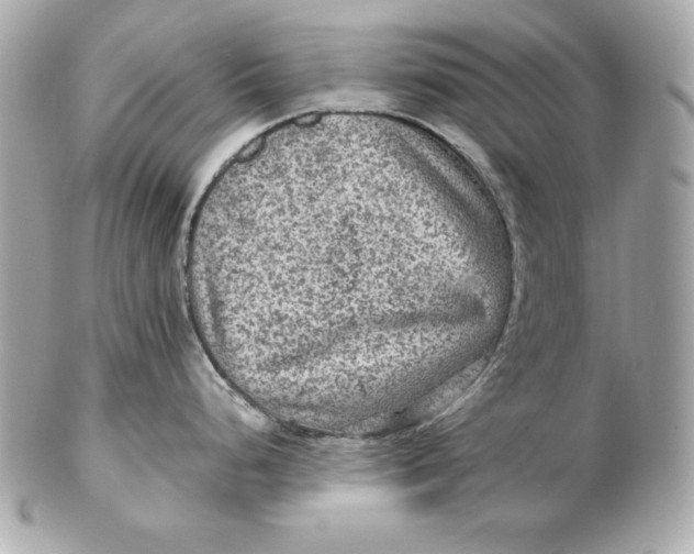 X0000102281248200808151920