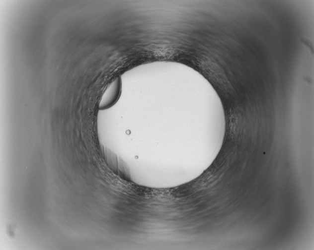 X0000102281249200808151919