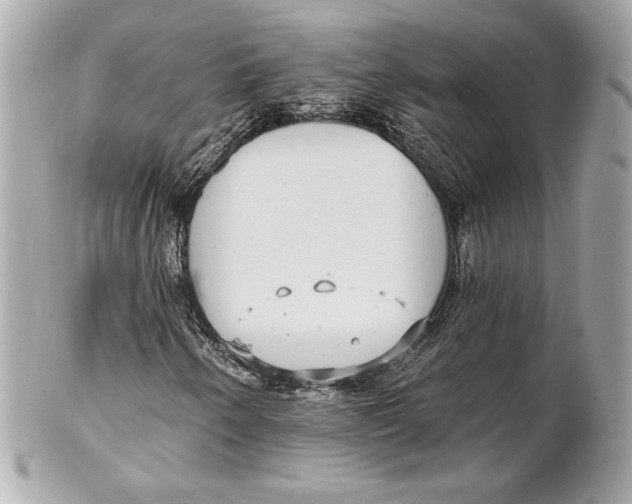 X0000102281250200808151919