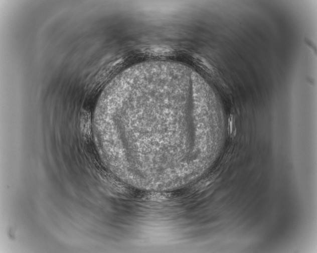 X0000102281251200808151919