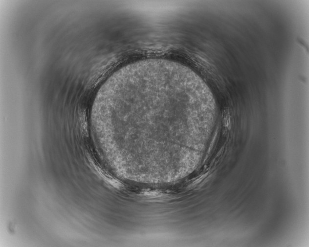 X0000102281252200808151919