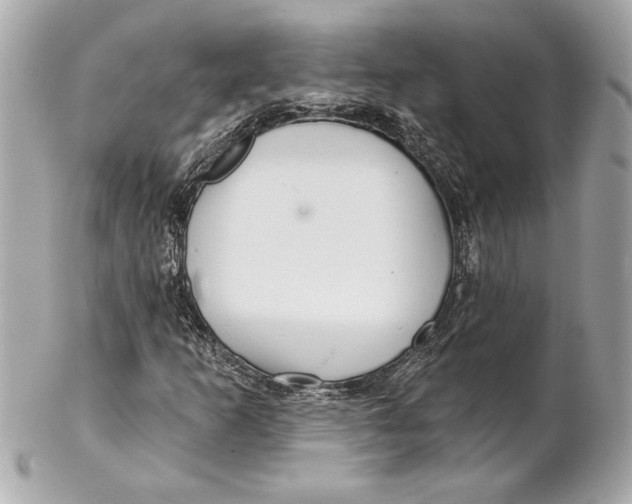 X0000102281253200808151919