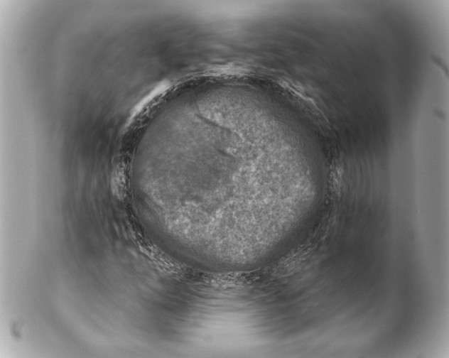 X0000102281254200808151919