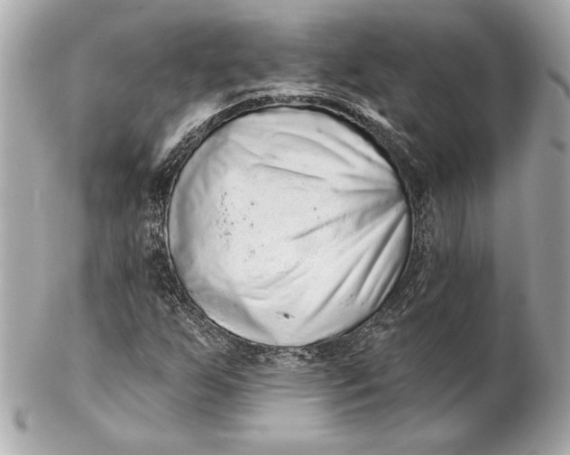 X0000102281255200808151919