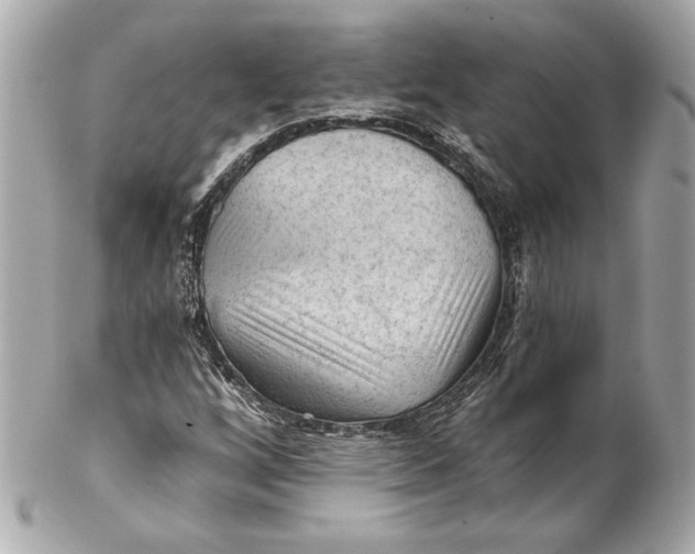 X0000102281256200808151919