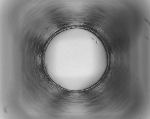 X0000102281257200808151919