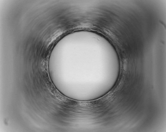 X0000102281258200808151919