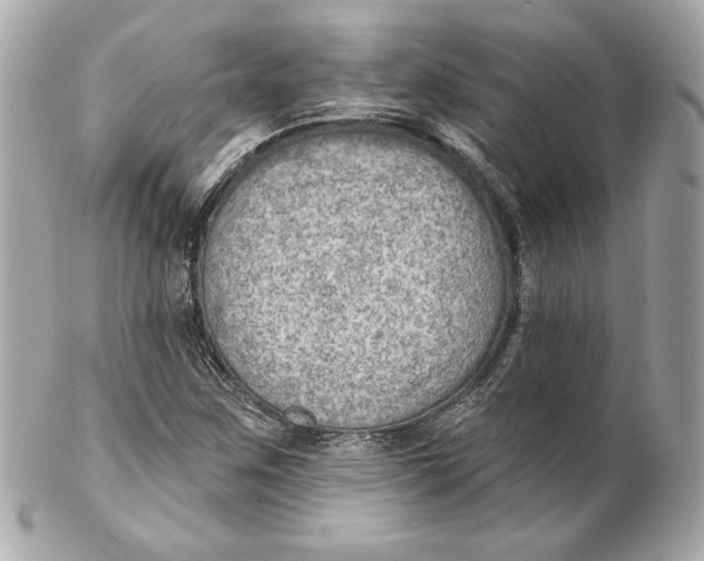 X0000102281259200808151919