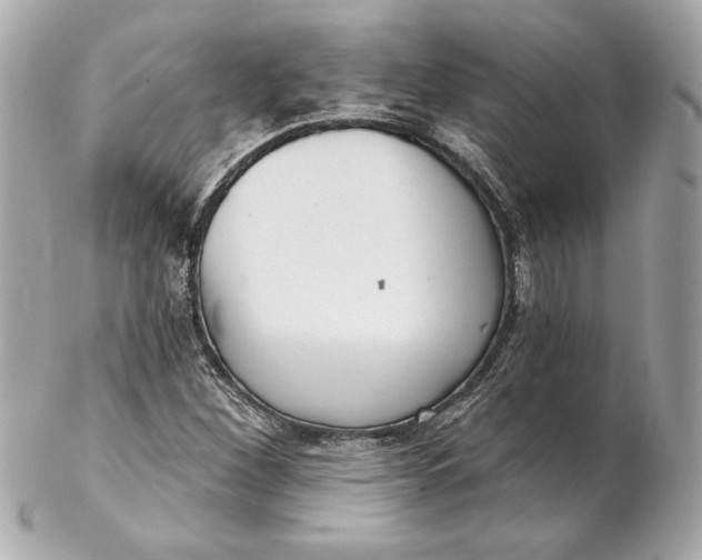 X0000102281260200808151919