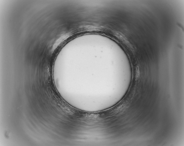 X0000102281261200808151919