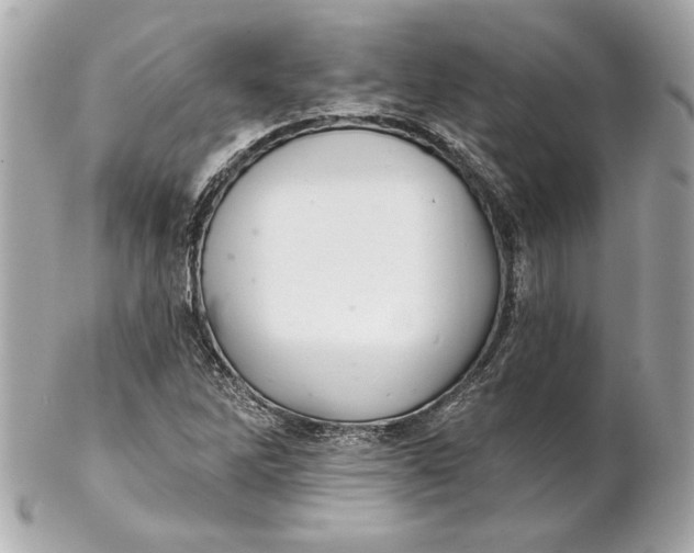 X0000102281262200808151919