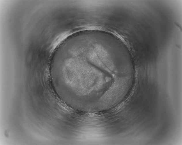 X0000102281263200808151919