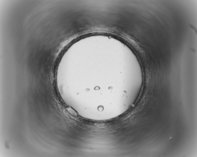 X0000102281264200808151919