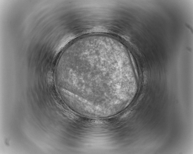 X0000102281266200808151919