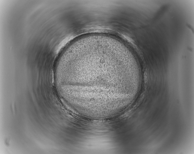 X0000102281267200808151919