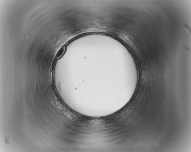 X0000102281268200808151919