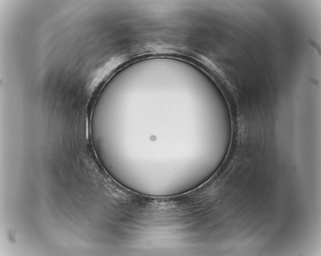 X0000102281269200808151919