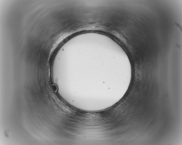 X0000102281270200808151919