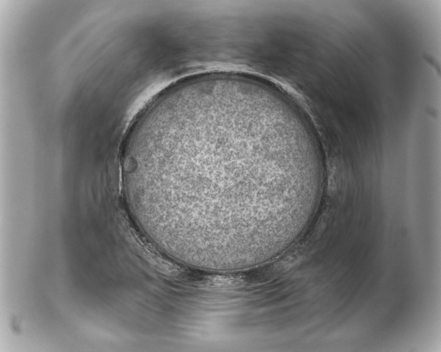 X0000102281271200808151919