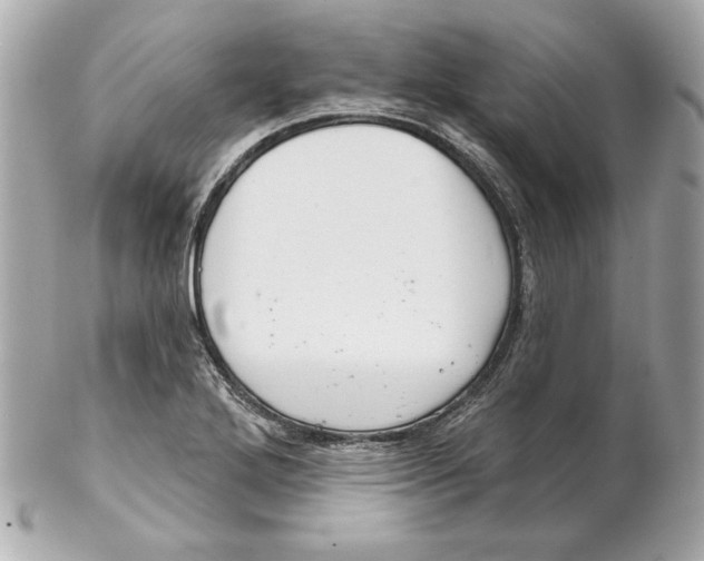 X0000102281272200808151919