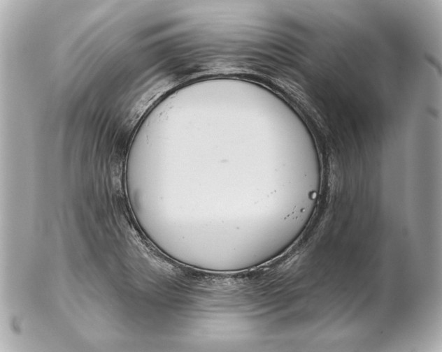 X0000102281273200808151919