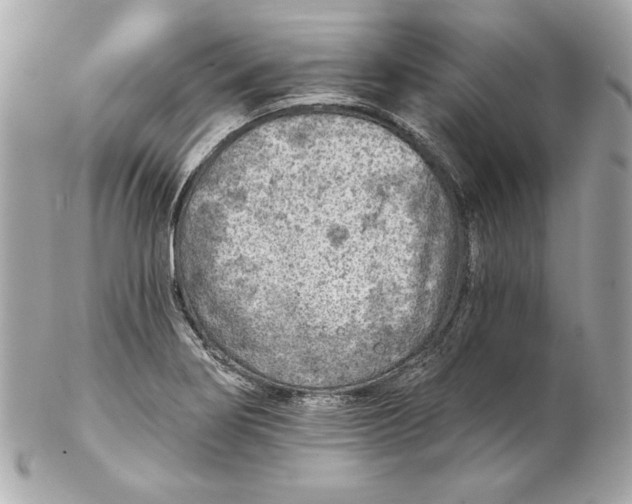 X0000102281274200808151919