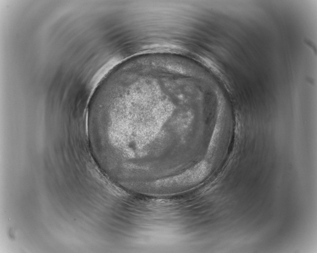 X0000102281275200808151919