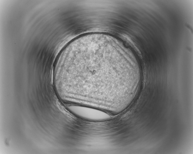 X0000102281276200808151919