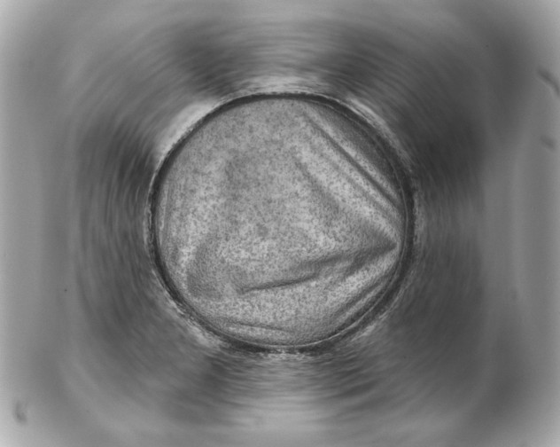 X0000102281277200808151919