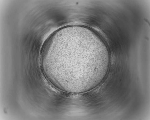 X0000102281278200808151919