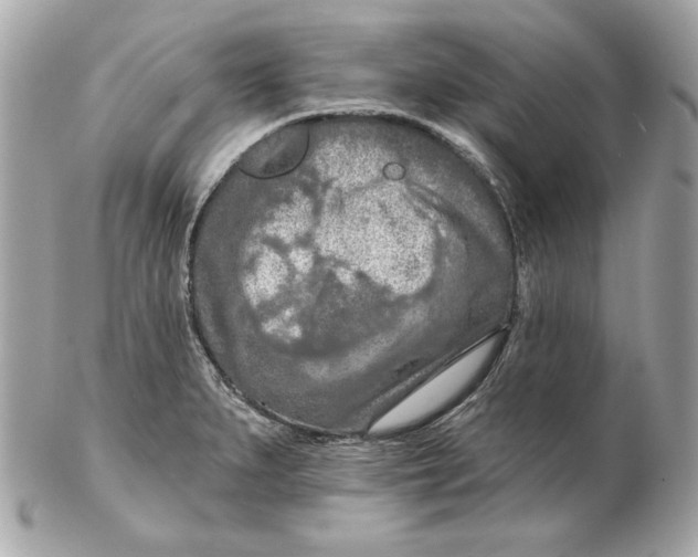 X0000102281279200808151919