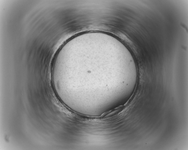 X0000102281280200808151919