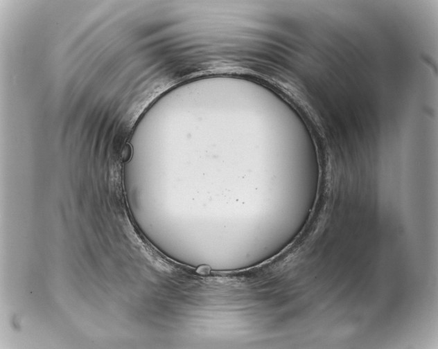 X0000102281281200808151919