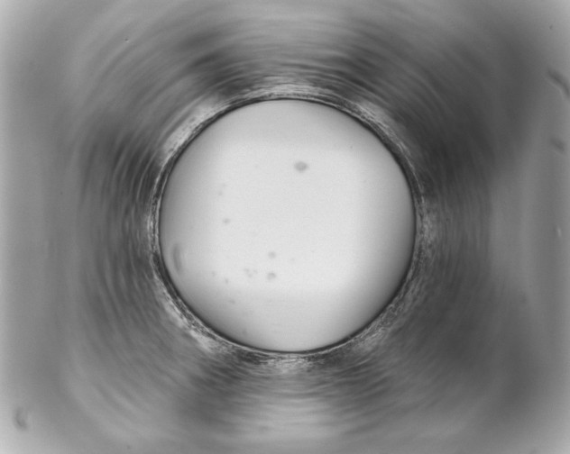 X0000102281282200808151919