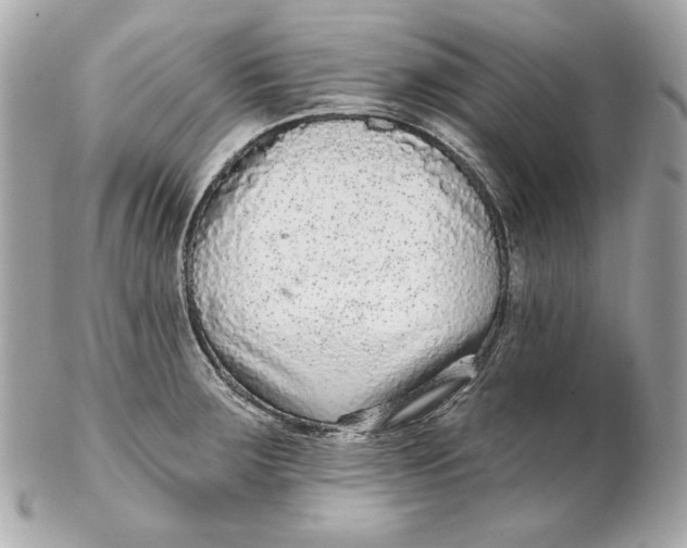 X0000102281283200808151919