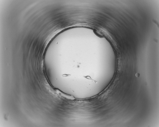 X0000102281284200808151919