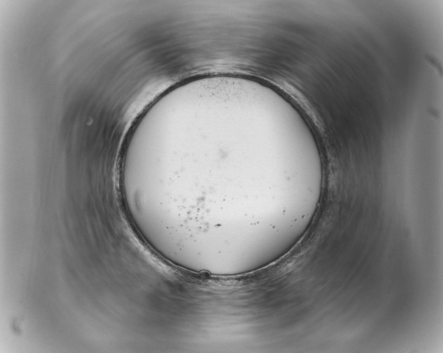 X0000102281285200808151919