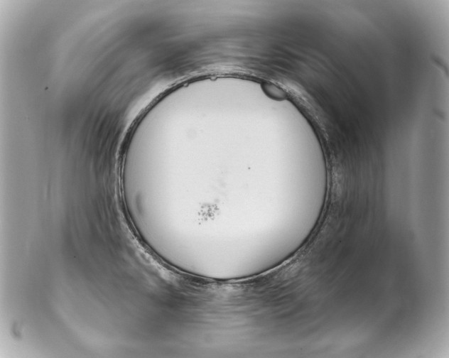 X0000102281286200808151919