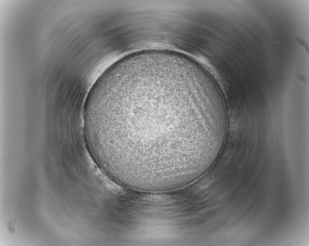 X0000102281287200808151919