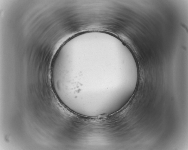 X0000102281288200808151919